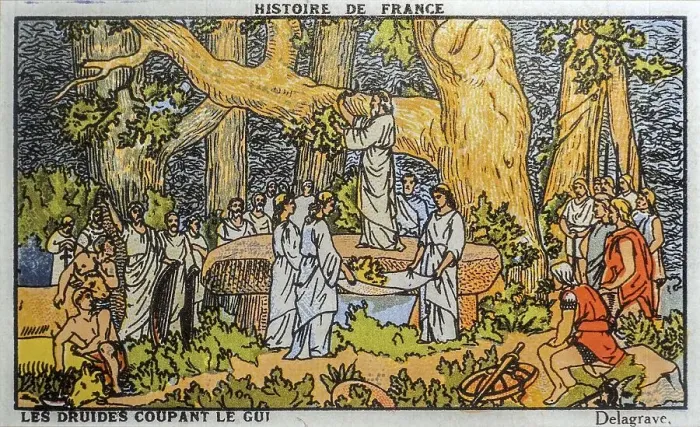 Framed Print : 1910 vintage vignette, sticker from Cardon Chocolates showing Gaul druids cutting mistletoe