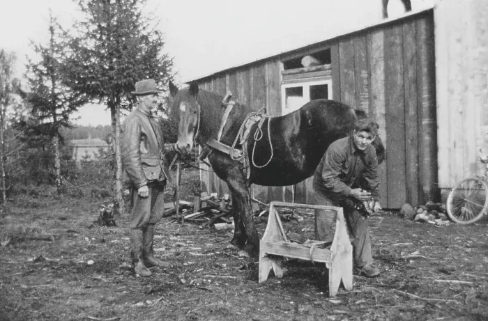 Framed Print : In the 1930s. A farrier shoeing a horse