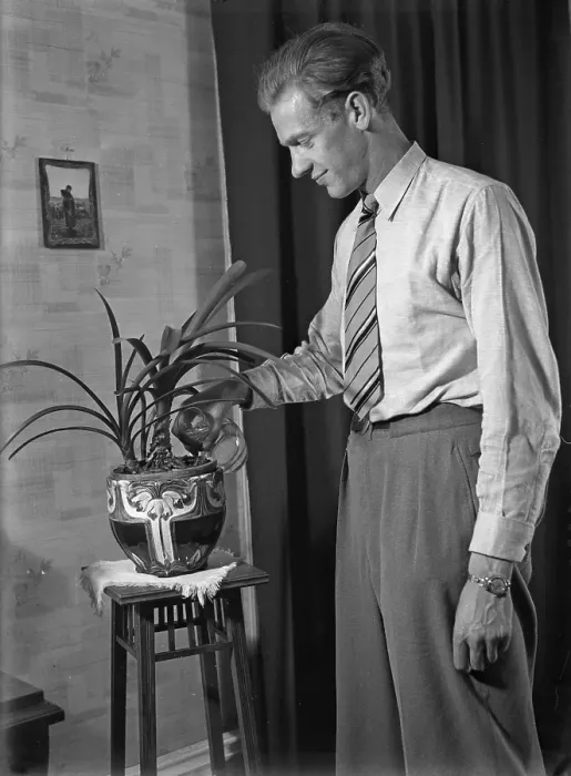 Framed Print : In the 1940s. Swedish athlete Ake Oedmark at home watering his plants