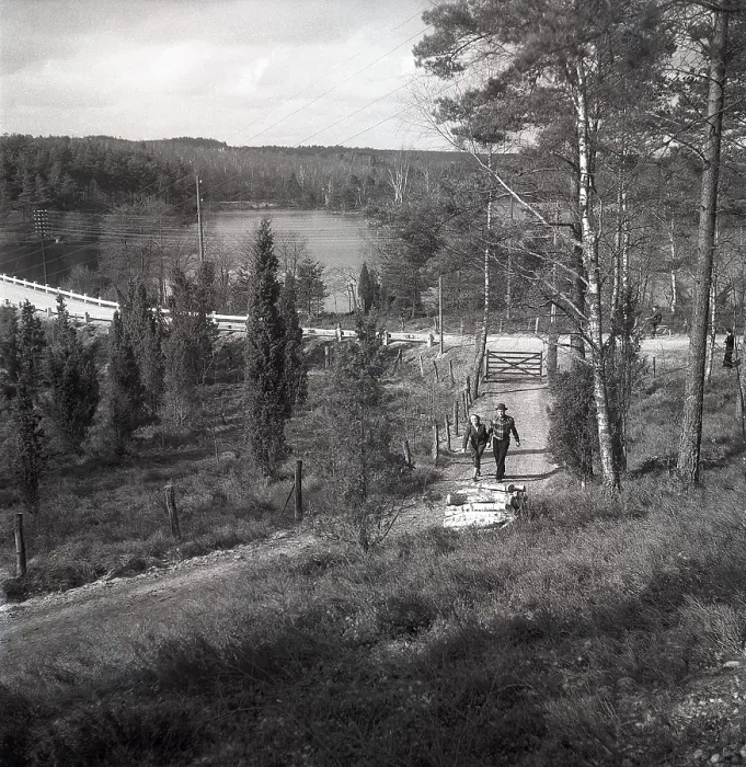 Framed Print : 1950s outdoor life. A couple is out in the nature and is walking along a small road enjoying the sunny day