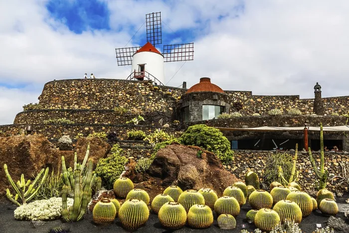 Framed Print : 2016, Guatiza, Lanzarote, Jardin de Cactus by Cesar Manrique Framed Print : 2016, Guatiza, Lanzarote, Jardin de Cactus by Cesar Manrique