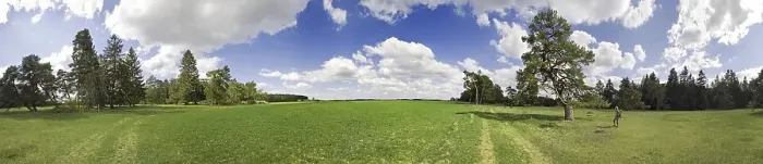 Framed Print : 360° panorama, old pine forest and sky with clouds Framed Print : 360° panorama, old pine forest and sky with clouds