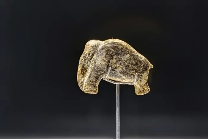 Framed Print : 40, 000-year-old animal figurine