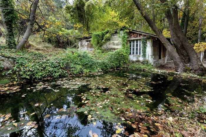 Framed Print : Abandoned house in the forest in autumn with yellow maple leaves in the ground