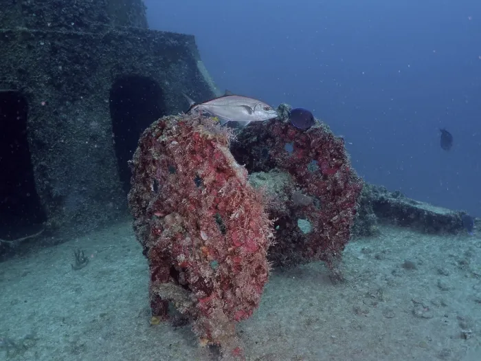 Framed Print : An abandoned underwater wreck covered in marine life with a fish swimming by Framed Print : An abandoned underwater wreck covered in marine life with a fish swimming by