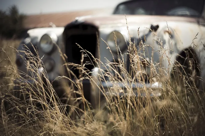 Framed Print : Abandoned vintage Jaguar car partially hidden in tall grass