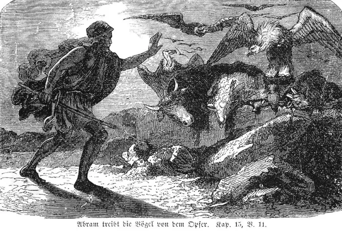 Framed Print : Abram drives the birds from the sacrifice Framed Print : Abram drives the birds from the sacrifice