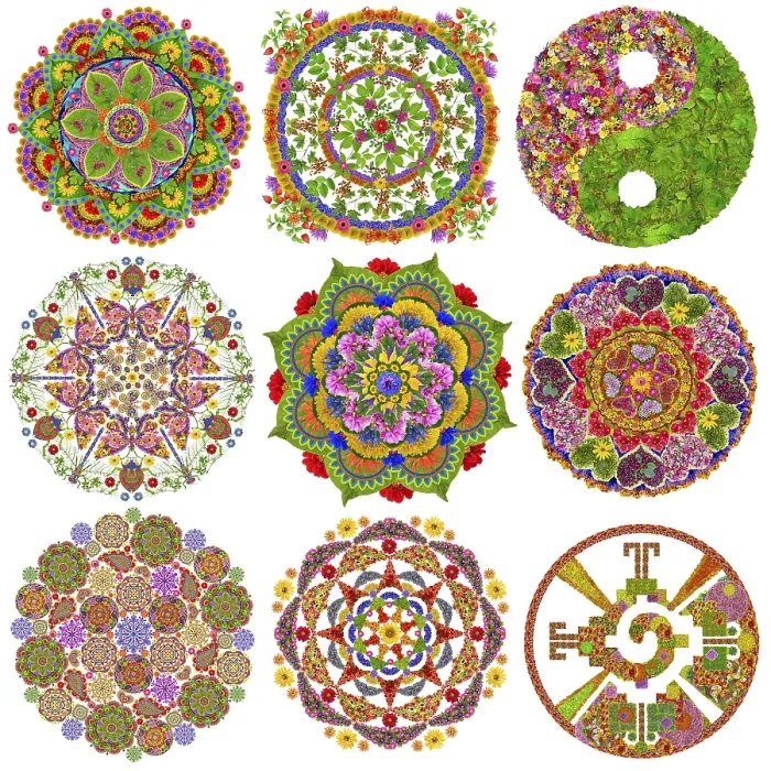 Framed Print : Abstract circle mandalas made from flowers and leaves Framed Print : Abstract circle mandalas made from flowers and leaves