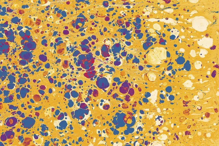 Framed Print : Abstract creative marbling pattern for fabric Framed Print : Abstract creative marbling pattern for fabric