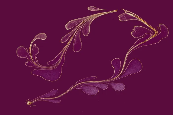 Framed Print : Abstract marbling floral pattern for fabric