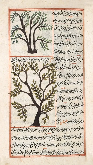 Framed Print : Abu Yahya Zakariya ibn Muhammad al-Qazwini Framed Print : Abu Yahya Zakariya ibn Muhammad al-Qazwini