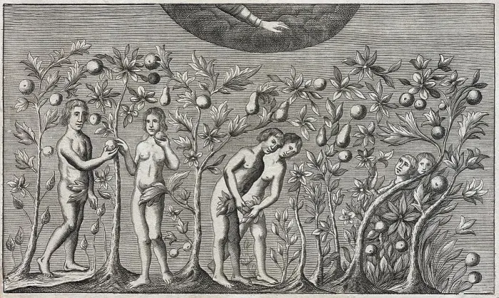 Framed Print : Adam and Eve, Fall of Man, Expulsion from Paradise