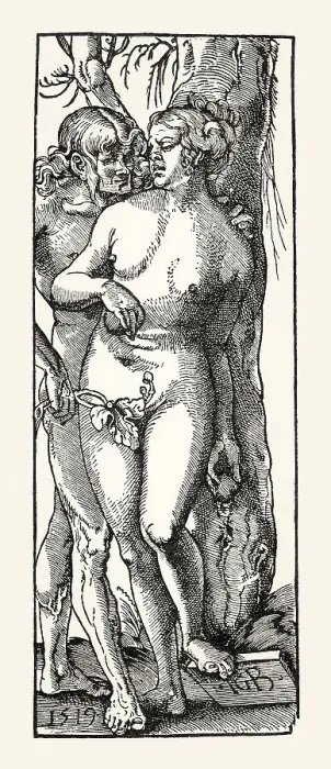 Framed Print : Adam and Eve, by Hans Baldung Grien