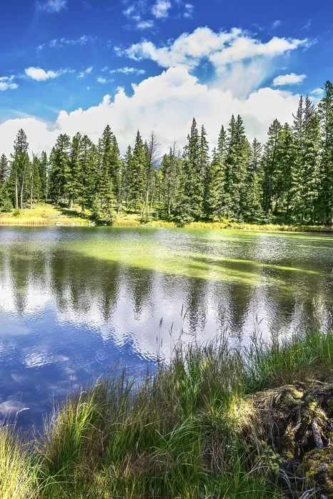 Framed Print : Adorable round lake. Coniferous forest is reflected in the mirrored water of lake