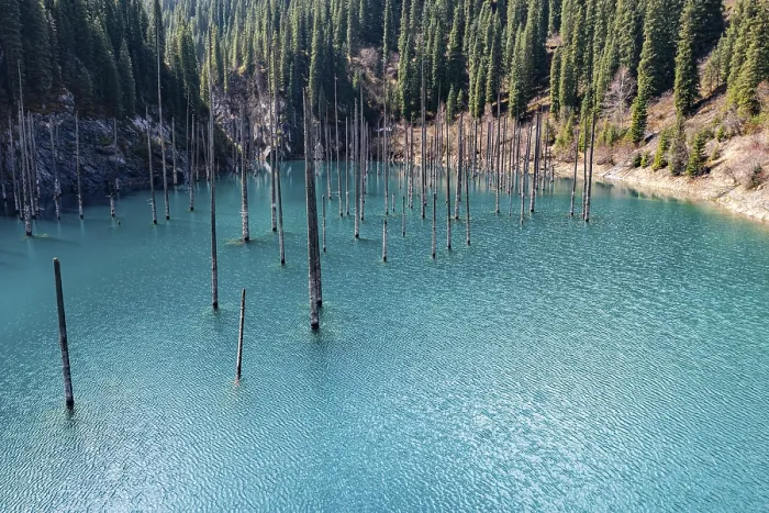 Framed Print : Aerial of the Kaindy lake with its dead trees Framed Print : Aerial of the Kaindy lake with its dead trees