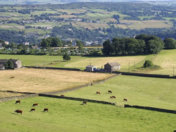 Framed Print : An aerial panoramic view of west yorkshire countryside in the calder valley near luddenden with cows grazing in meadows