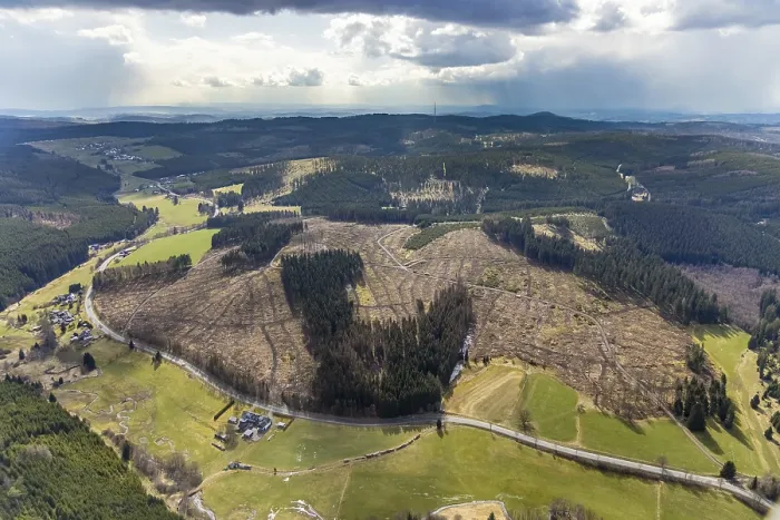 Framed Print : Aerial photo, forest damage in the forest area Berg Ebschloh