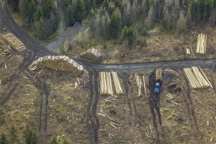 Framed Print : Aerial photo, forest damage in the forest area Berg Ebschloh Framed Print : Aerial photo, forest damage in the forest area Berg Ebschloh