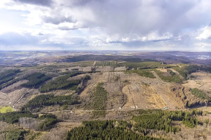 Framed Print : Aerial photo, forest damage in the forest area near Hellefeld