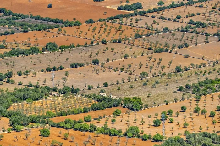 Framed Print : Aerial view, Agricultural fields with trees Framed Print : Aerial view, Agricultural fields with trees