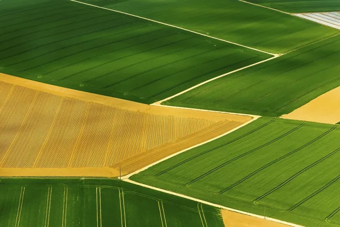 Framed Print : Aerial view, canola fields, Aldenhoven Framed Print : Aerial view, canola fields, Aldenhoven