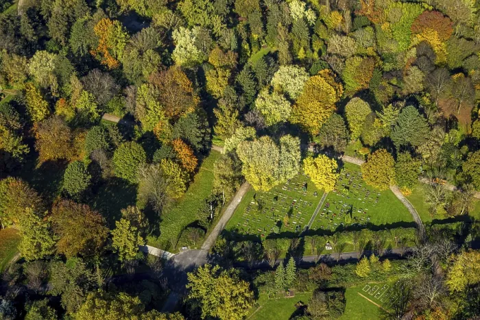 Framed Print : Aerial view, central cemetery cemetery and autumnal trees