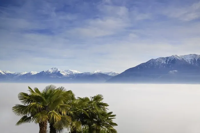 Framed Print : Aerial View over Cloudscape and Snow-capped Mountain with Palm Trees in a Sunny Day in Ticino Framed Print : Aerial View over Cloudscape and Snow-capped Mountain with Palm Trees in a Sunny Day in Ticino
