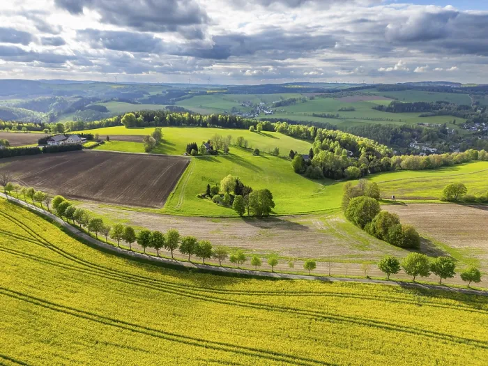 Framed Print : Aerial view, drone photo: Blooming rapeseed field