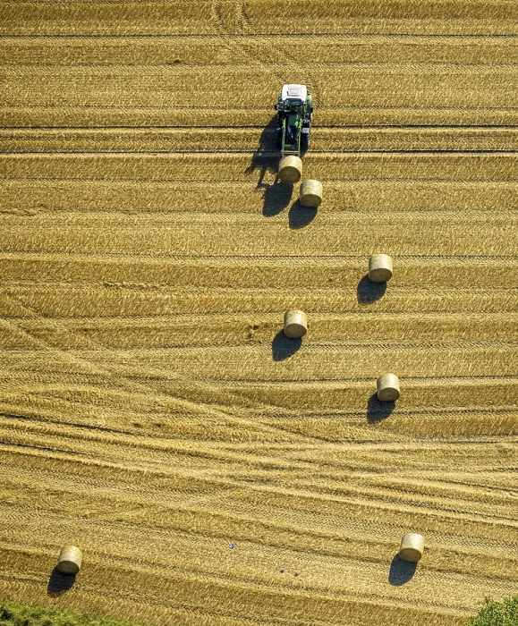 Framed Print : Aerial view, field work, tractor with hay bales in a field
