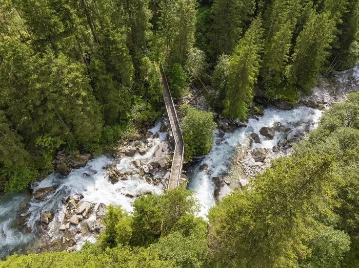Framed Print : Aerial view of a forest with a river and a narrow wooden bridge surrounded by trees