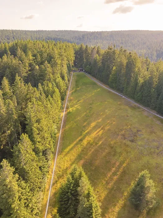 Framed Print : Aerial view of a green forest with open clearing