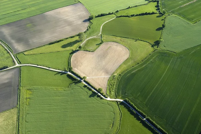 Framed Print : Aerial view of a heart-shaped field