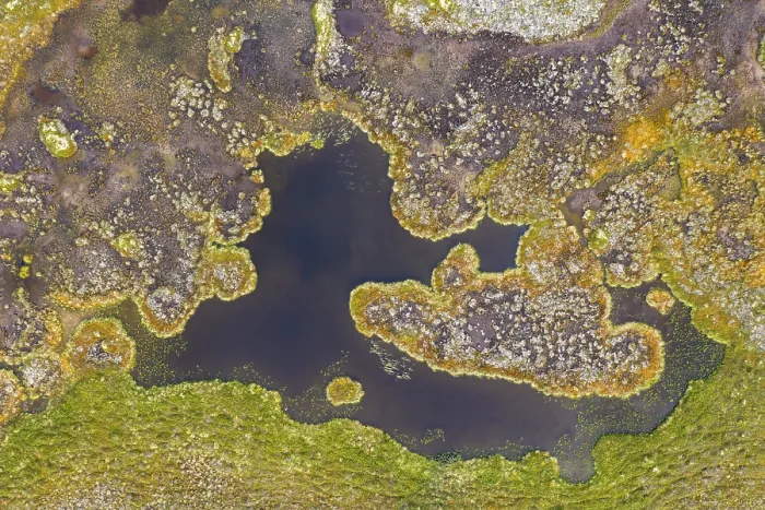 Framed Print : Aerial view, lake in wetland, bog