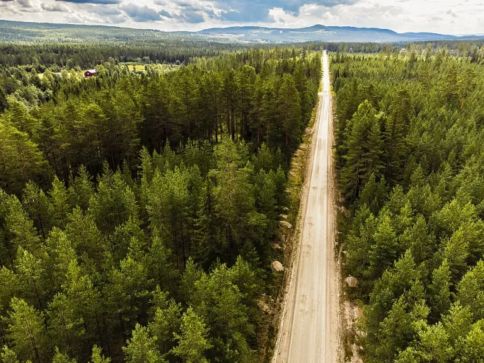 Framed Print : Aerial view of a long road through thick Framed Print : Aerial view of a long road through thick