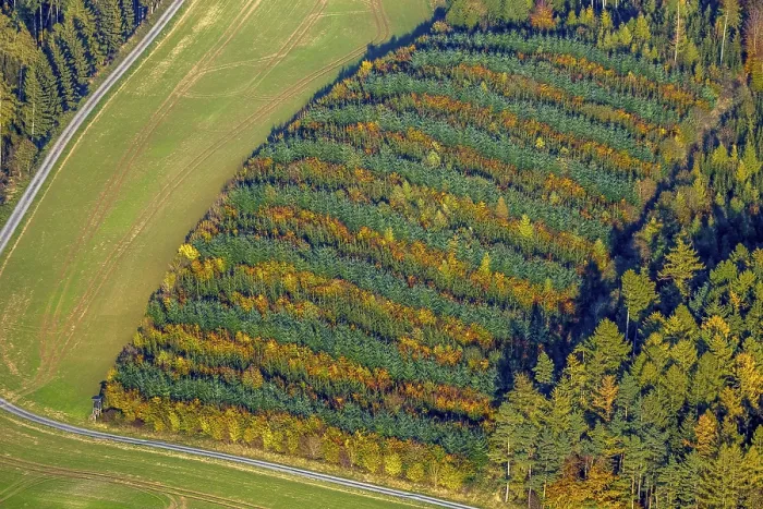 Framed Print : Aerial view, mixed forest at Hennesee near Mulsborn Framed Print : Aerial view, mixed forest at Hennesee near Mulsborn
