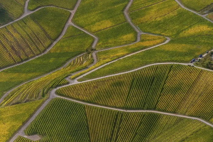Framed Print : Aerial view, Moselle wine region