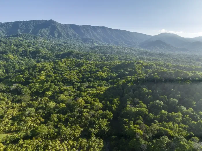 Framed Print : Aerial view, rainforest and mountains, Puntarenas province, Costa Rica, Central America