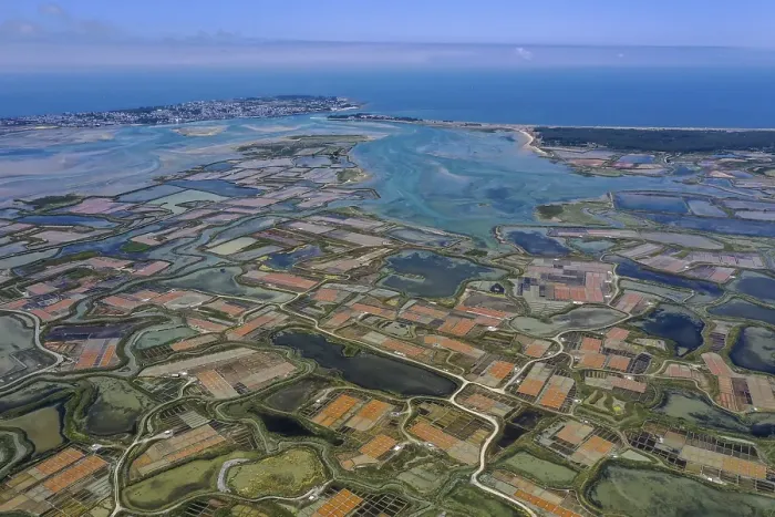 Framed Print : Aerial view of the salt marshes Framed Print : Aerial view of the salt marshes