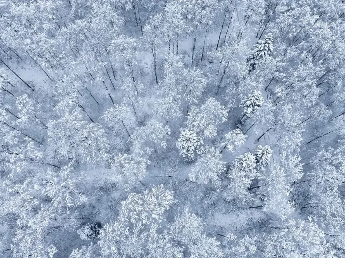 Framed Print : Aerial view of a snow-covered forest forming a natural pattern