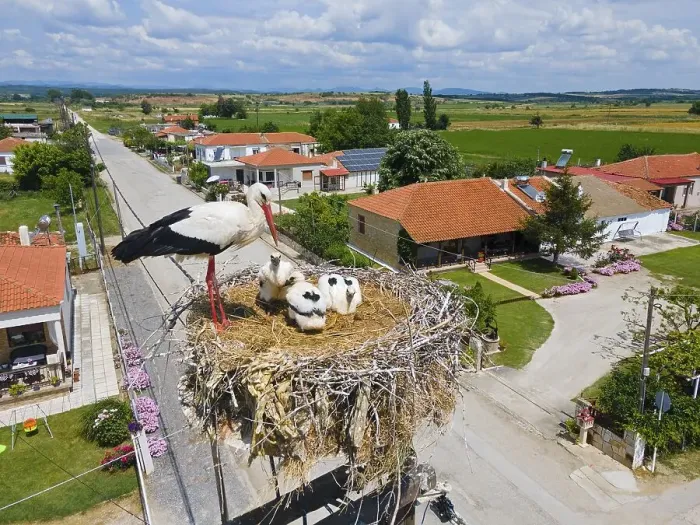 Framed Print : Aerial view, storks in nest, stork village Poros Framed Print : Aerial view, storks in nest, stork village Poros