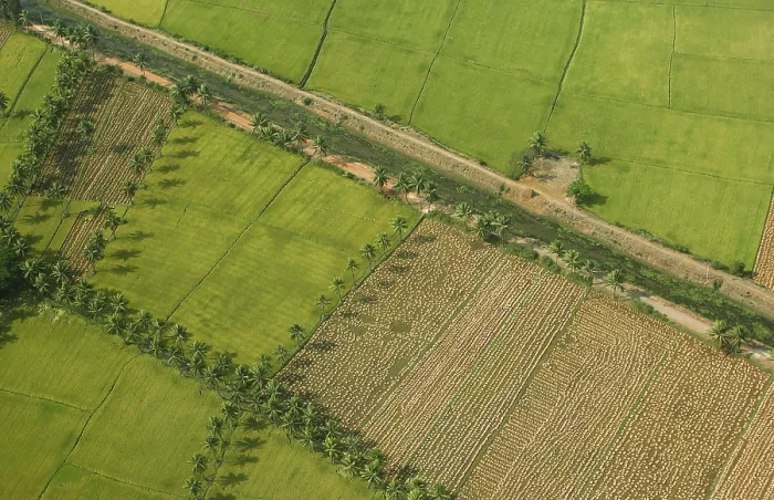 Framed Print : Aerial view of tilled and cultivated field