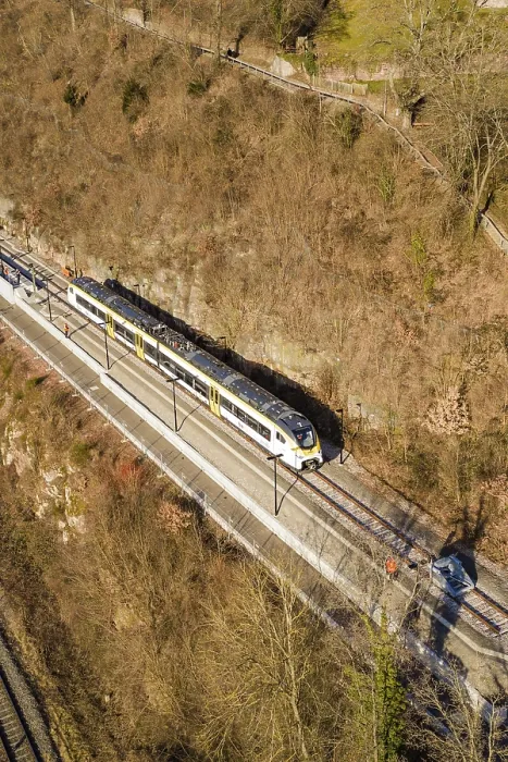 Framed Print : Aerial view of a train traveling through a wooded area surrounded by bare trees