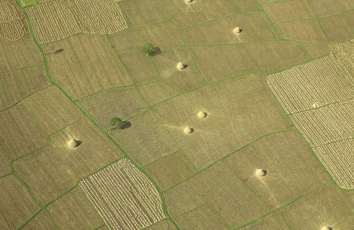 Framed Print : Aerial view of uncultivated field