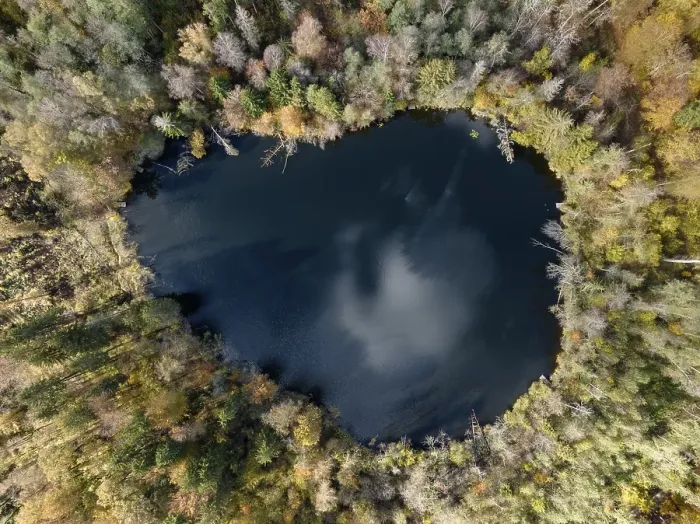 Framed Print : Aerial view, top down view of Litzelsee with autumn vegetation