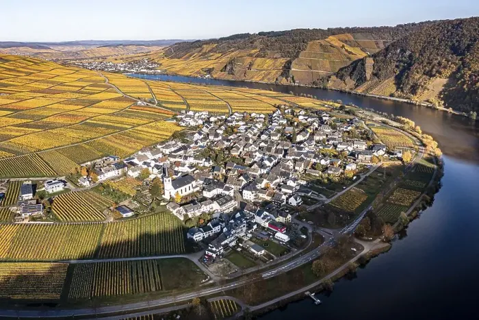 Framed Print : Aerial view, vineyards in autumn Framed Print : Aerial view, vineyards in autumn