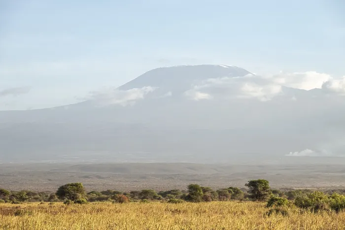 Framed Print : African savanna and summit of Mount Kilimanjaro