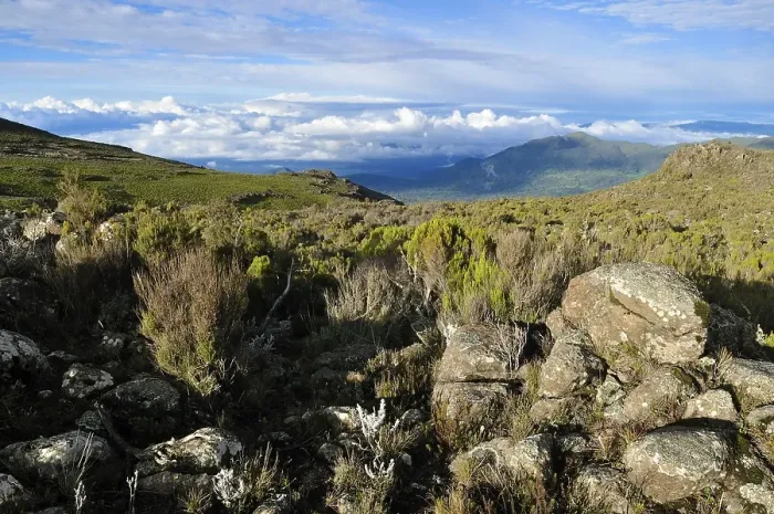 Framed Print : Afromontane landscape on Sanetti Plateau