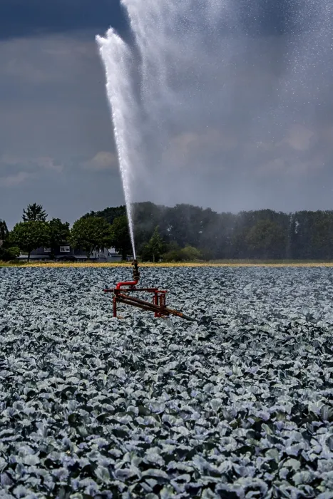 Framed Print : Agriculture, artificial irrigation of a field