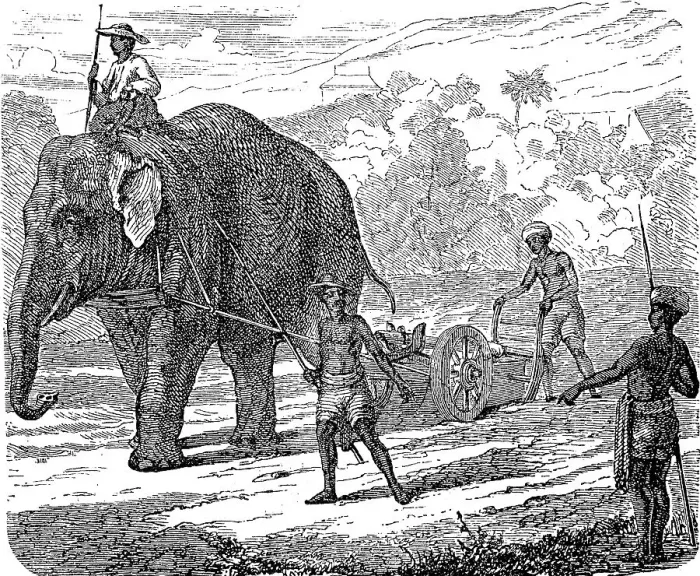 Framed Print : Agriculture, tillage in India, ploughing with an elephant