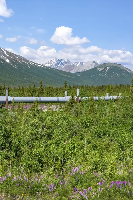 Framed Print : Alaska Pipeline Oil Pipeline, Alaska Range